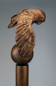 barn owl