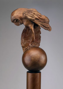 barn owl