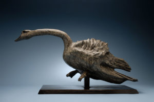 swan-2