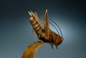 grasshopper-4